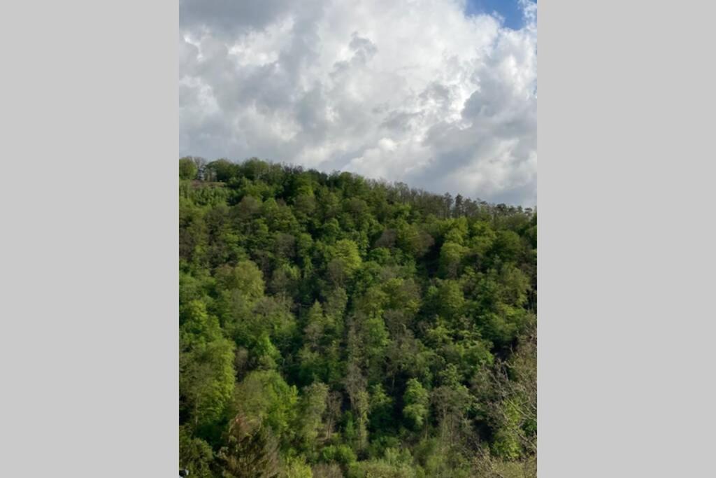 La Mejounete De Lucie Vresse-sur-Semois